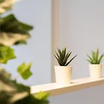 Apartmán Elegant In The Heart Of